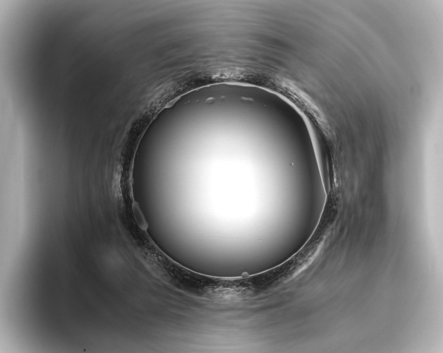 X0000096400209200801241207