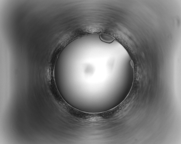 X0000096400210200801241207