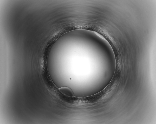 X0000096400211200801241207