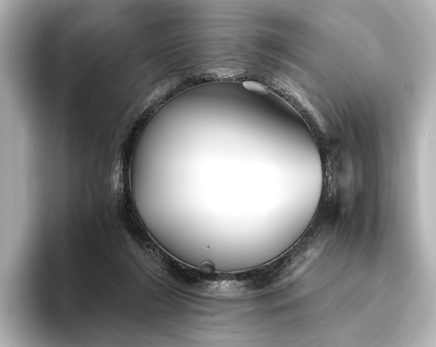 X0000096400212200801241207