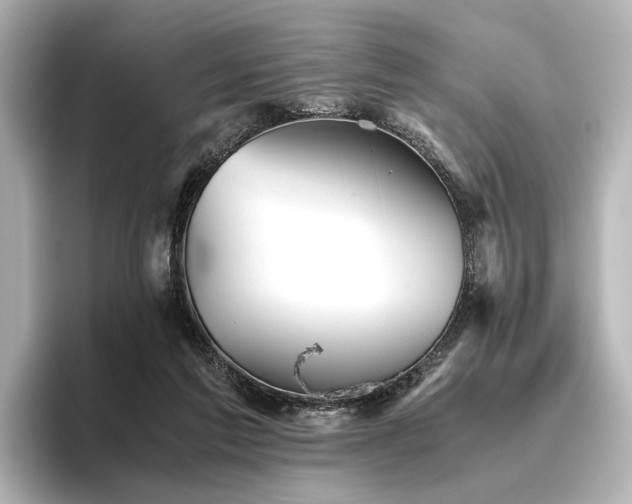 X0000096400213200801241207