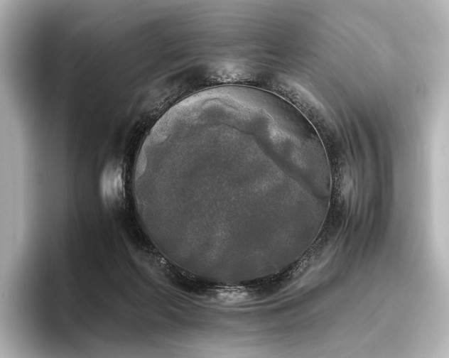 X0000096400214200801241207