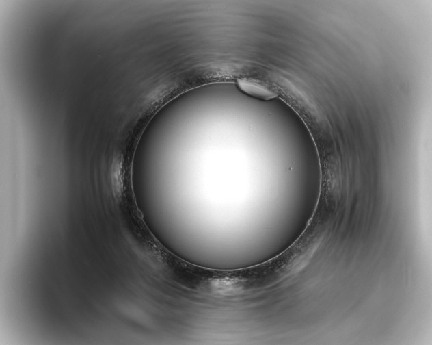 X0000096400216200801241207