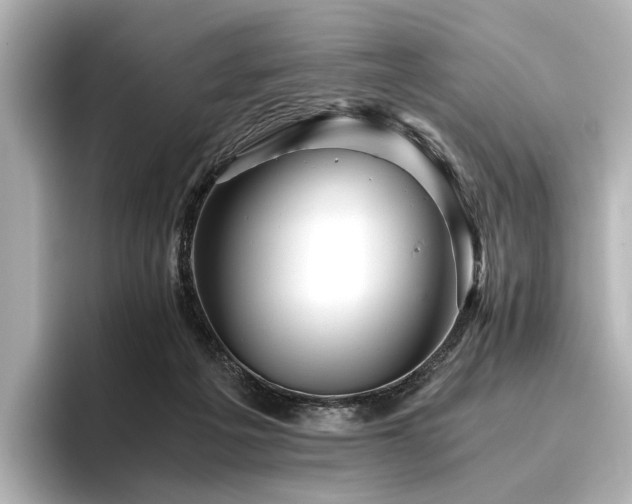 X0000096400217200801241207