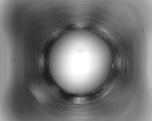 X0000096400220200801241207