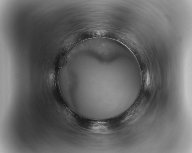 X0000096400222200801241207