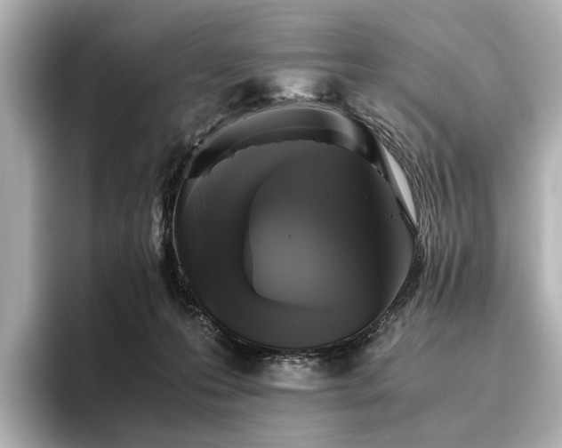 X0000096400223200801241207