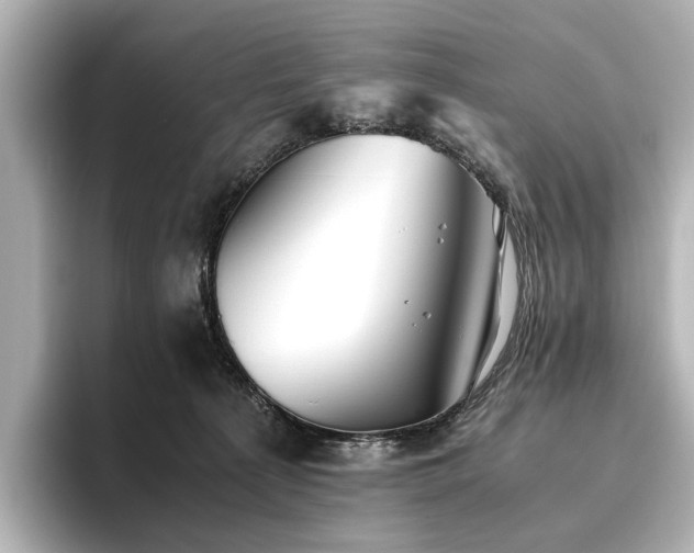 X0000096400225200801241207