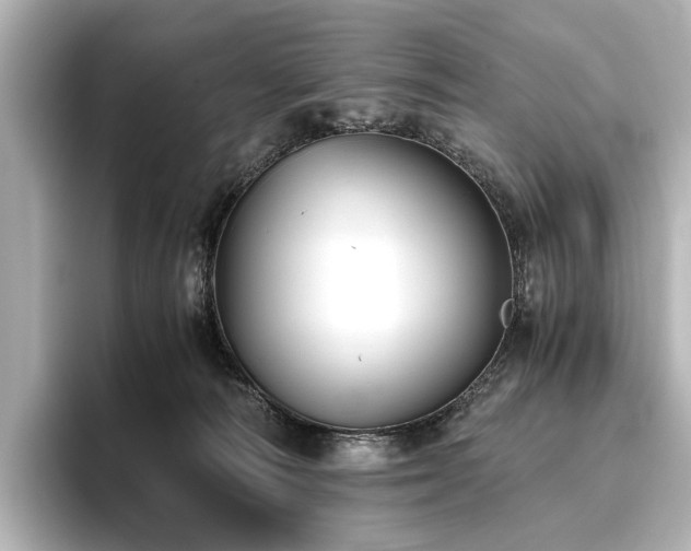 X0000096400226200801241207