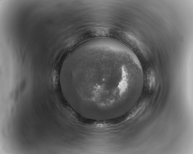 X0000096400228200801241207