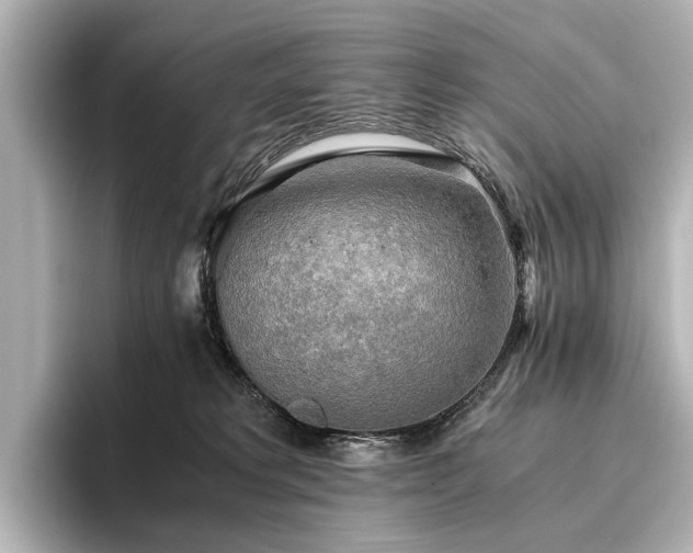 X0000096400229200801241207