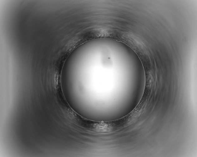 X0000096400230200801241207