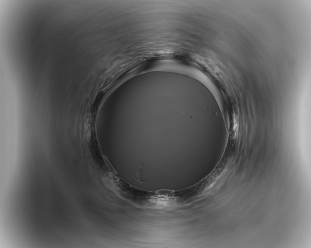 X0000096400231200801241207