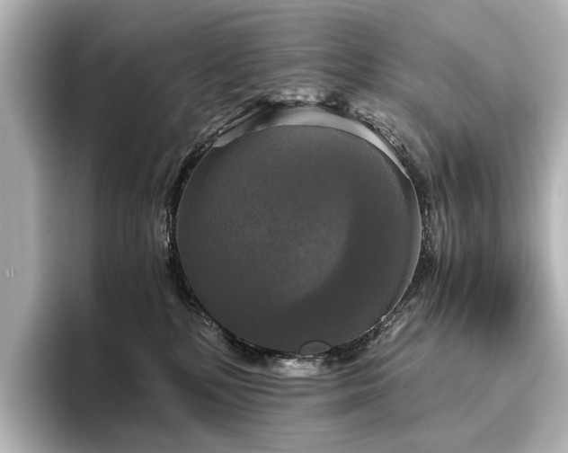 X0000096400232200801241207