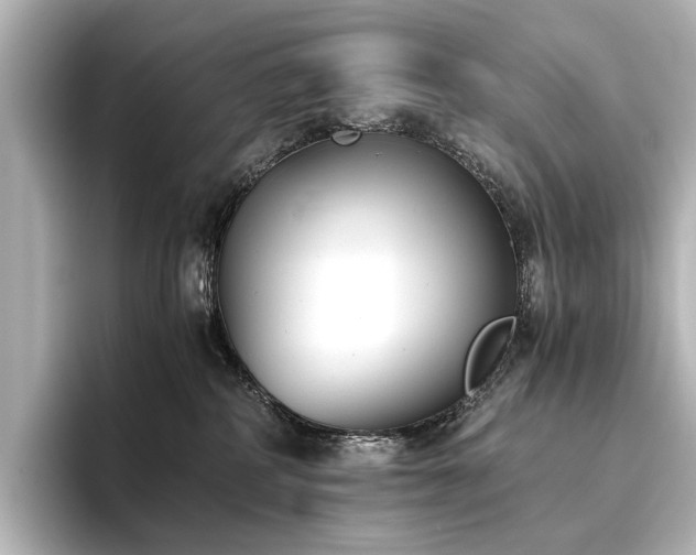 X0000096400234200801241207