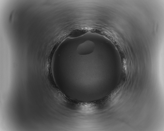 X0000096400235200801241207