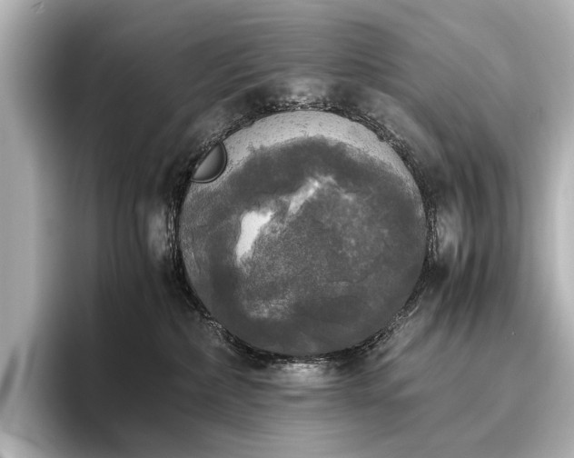 X0000096400236200801241207