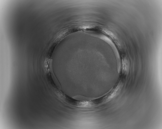 X0000096400237200801241207