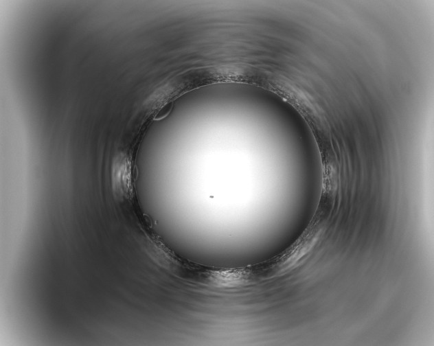 X0000096400238200801241207