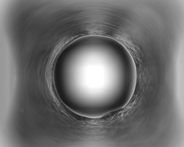 X0000096400241200801241206