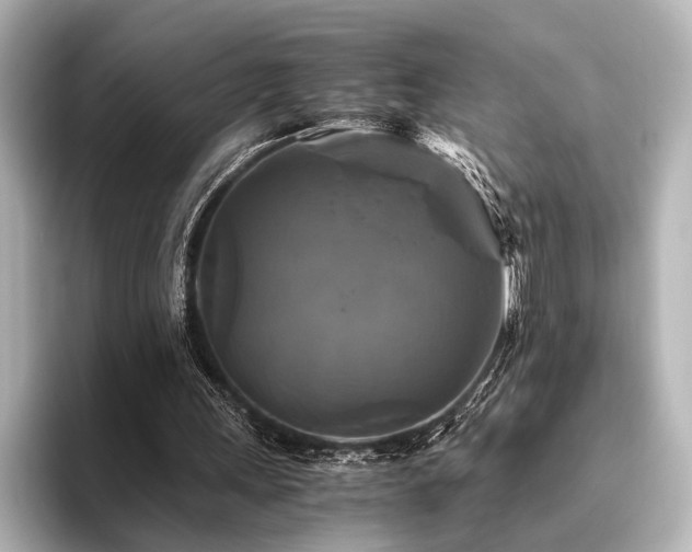 X0000096400243200801241206