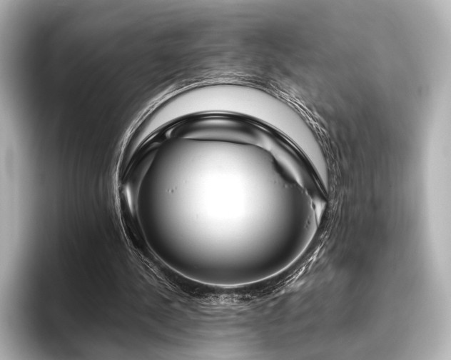 X0000096400244200801241206