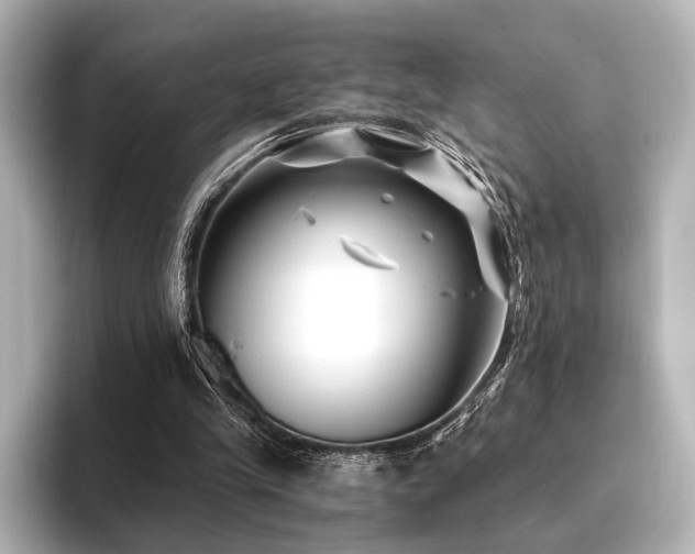 X0000096400245200801241206