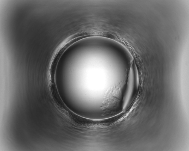 X0000096400246200801241206