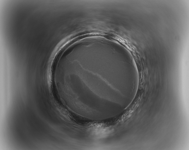 X0000096400247200801241206