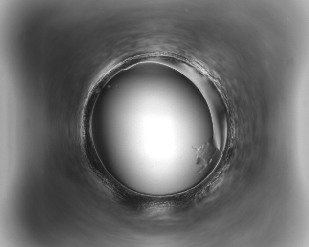 X0000096400248200801241206