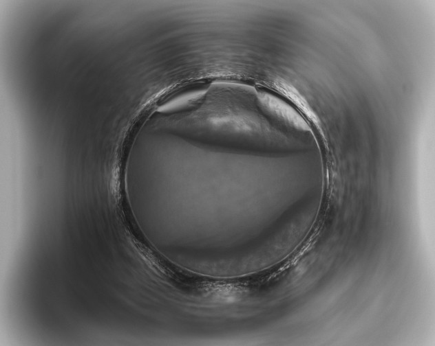 X0000096400249200801241206