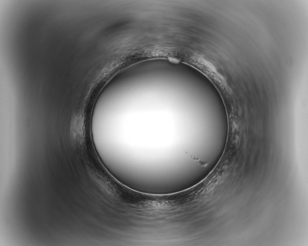 X0000096400250200801241206