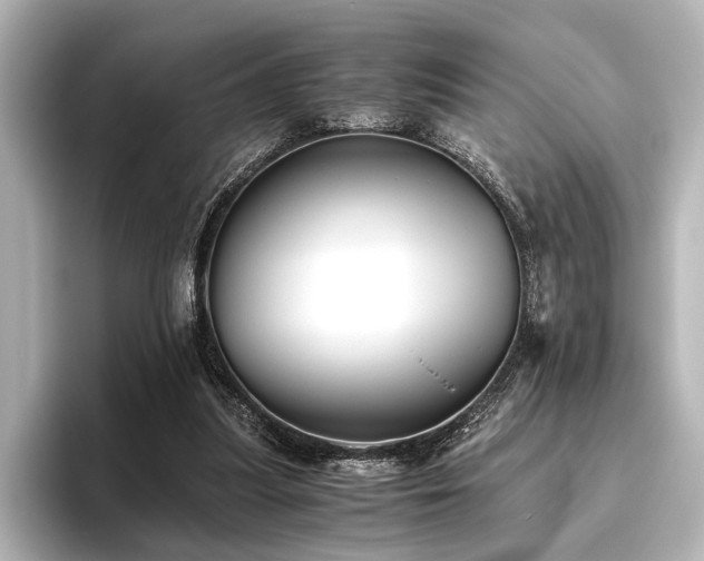 X0000096400251200801241206