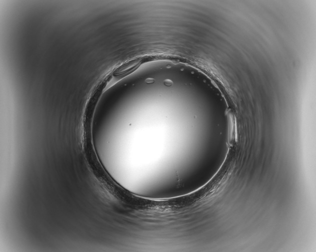 X0000096400252200801241206