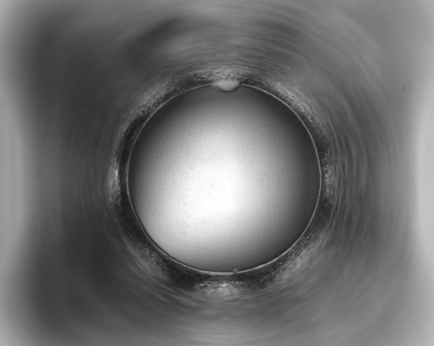 X0000096400254200801241206