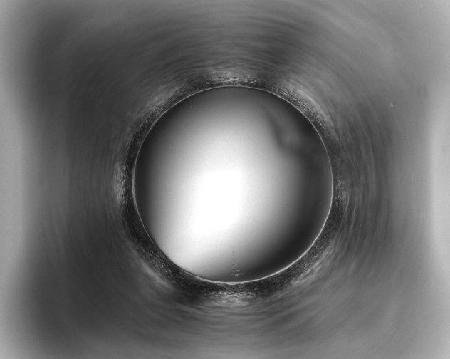 X0000096400255200801241206