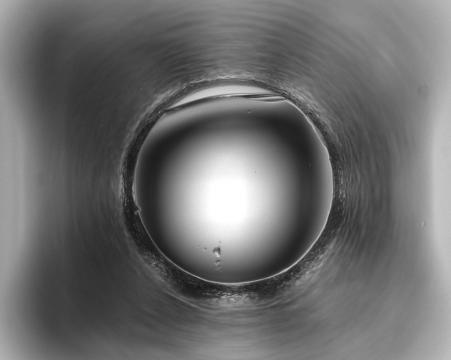 X0000096400256200801241206