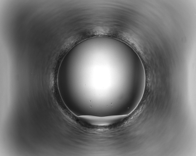 X0000096400257200801241206