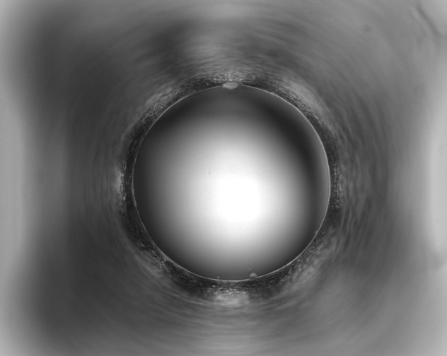 X0000096400258200801241206