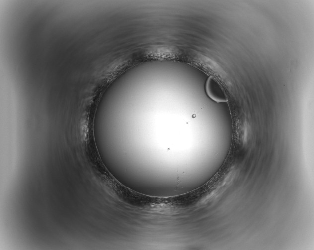 X0000096400259200801241206