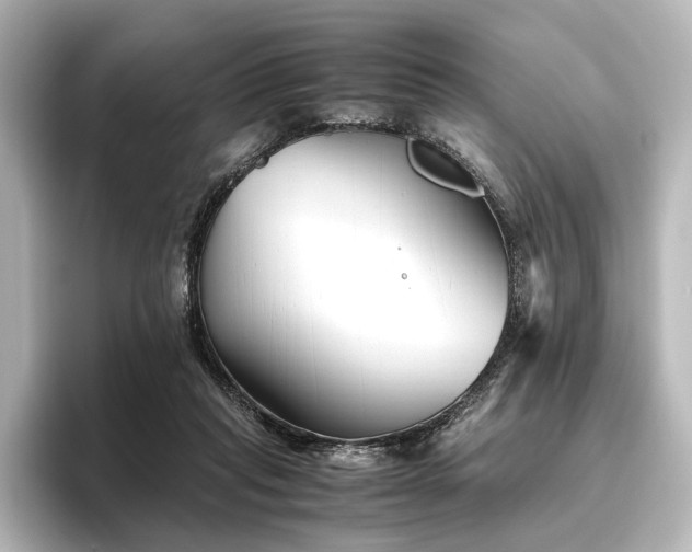 X0000096400261200801241206