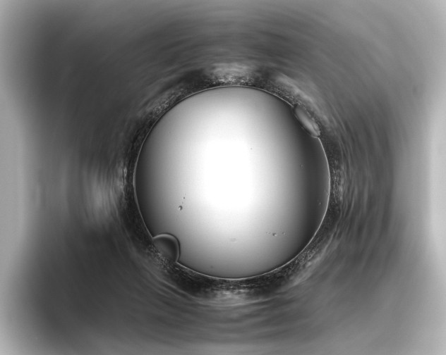 X0000096400263200801241206