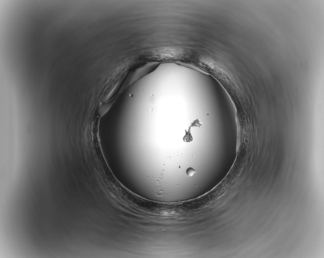 X0000096400264200801241206