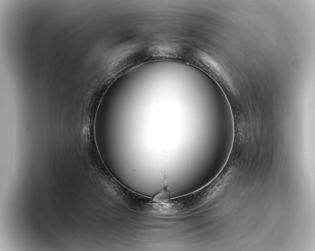 X0000096400265200801241206