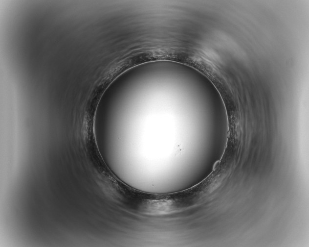 X0000096400266200801241206