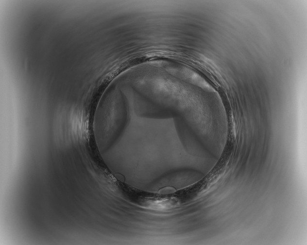 X0000096400267200801241206