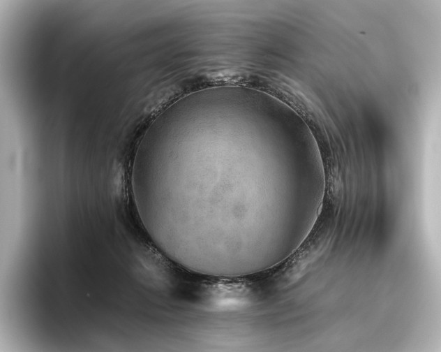 X0000096400270200801241207