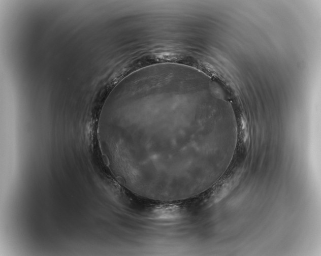 X0000096400271200801241207