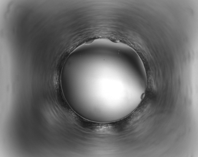 X0000096400274200801241207