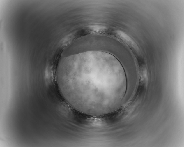 X0000096400276200801241207